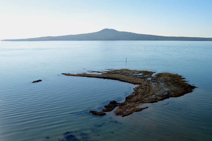 Auckland Coastal Experience - Small Group City & Beach Tour Incl. Wine Tasting