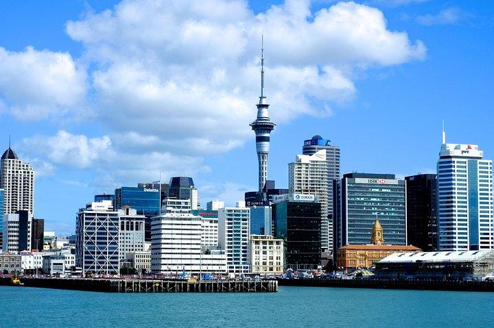 Auckland City & Native Forest Experience - Visite d'une journée entièrement guidée