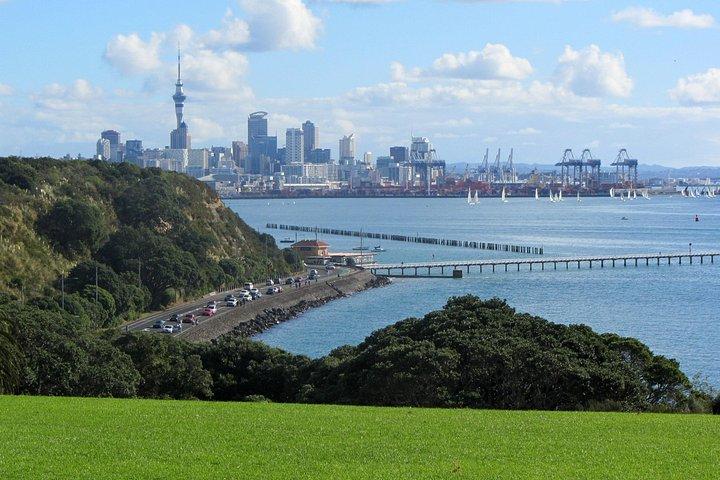 オークランド市と原生林体験 - 完全ガイド付き日帰りツアー