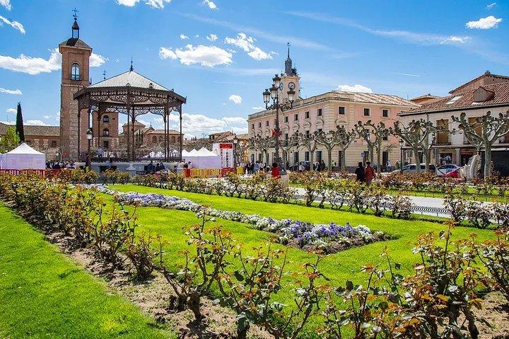 Alcalá de Henares Private Tour ab Madrid