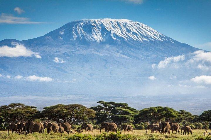 Beklim de Kilimanjaro: 7-daagse Machame Route met Luchthaventransfers
