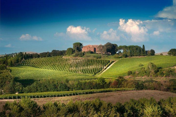 Montalcino: experiência de degustação de vinhos Brunello