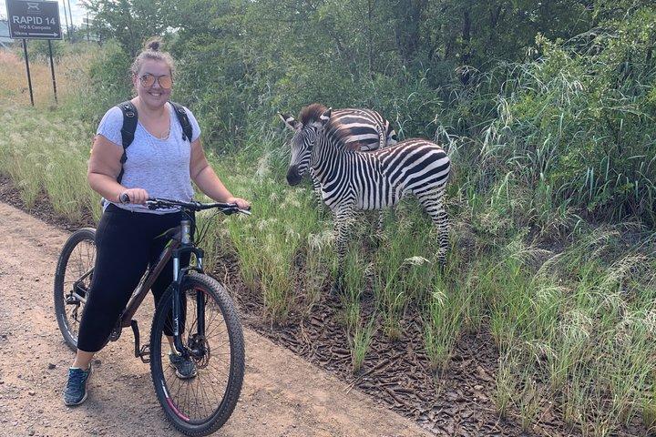 Guidet cykeltur rundt om Livingstone