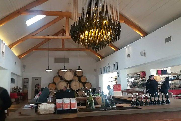 Shark Cage Diving + Wine Tasting Private From Cape Town F/D
