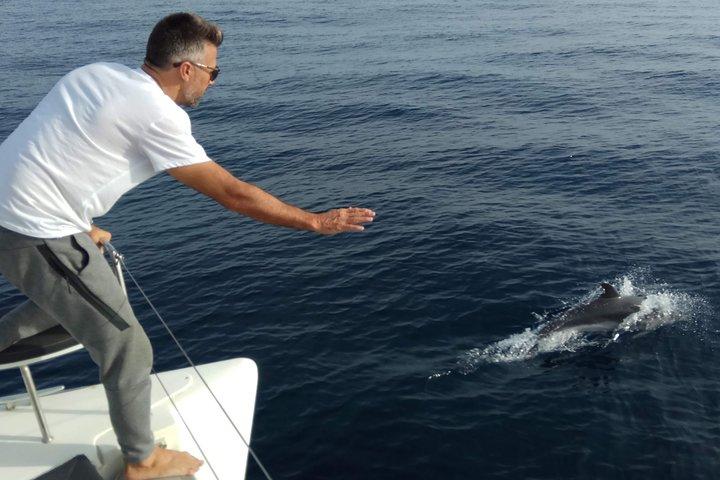Groepsexcursie van 2 uur per catamaran in Marbella inclusief dolfijnen spotten