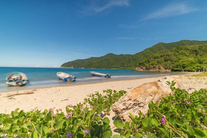 Tayrona Park Wanderung nach Cabo San Juan: Privat oder gemeinsam