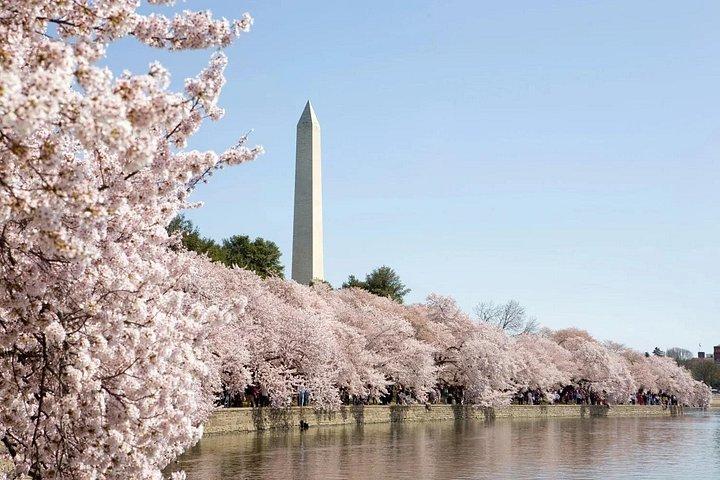 大統領専用DC：キャピトルヒル＋DCバスツアー、米国議会議事堂入場