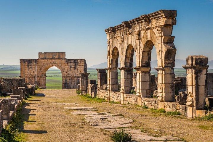 Civitavecchia Port: Ancient Ostia Archaelogical Park & Beach