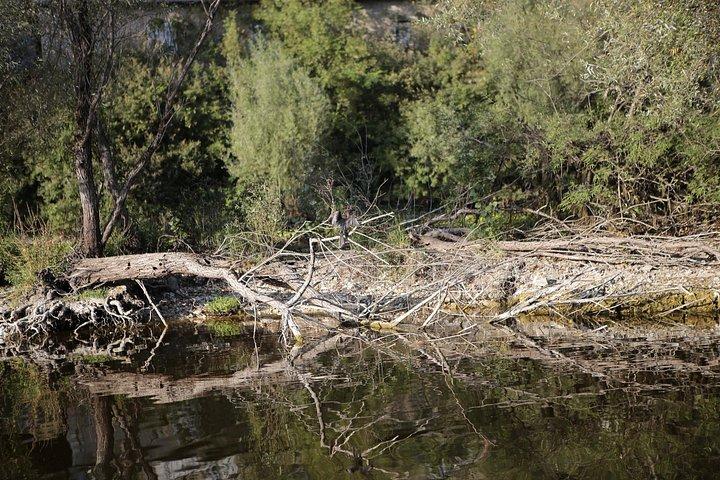 グレート モンテネグロ ツアー - ロブチェン国立公園、ロブチェン霊廟、クルノイェヴィッチ川、スヴェティ ステファン