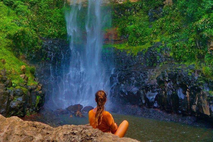 Excursão privada pela floresta tropical e vida selvagem - construa sua própria experiência