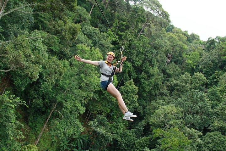 不死鳥の飛行: Zipline Experience