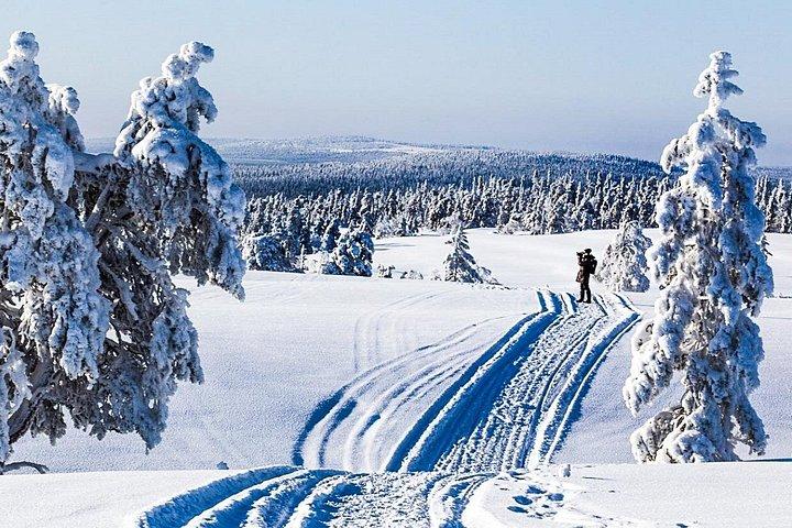 Læs mere om Tundra - Saariselkä