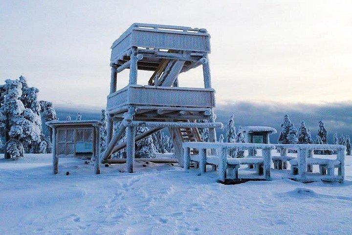 Læs mere om Tundra - Saariselkä