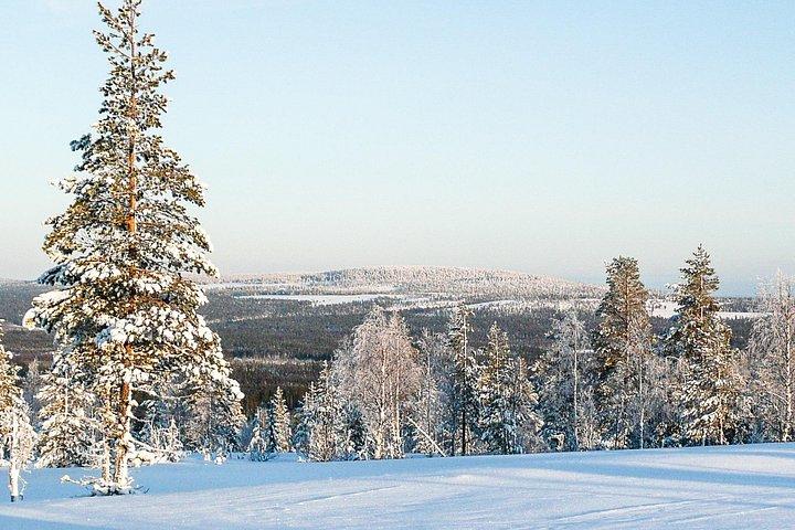 Læs mere om Tundra - Saariselkä