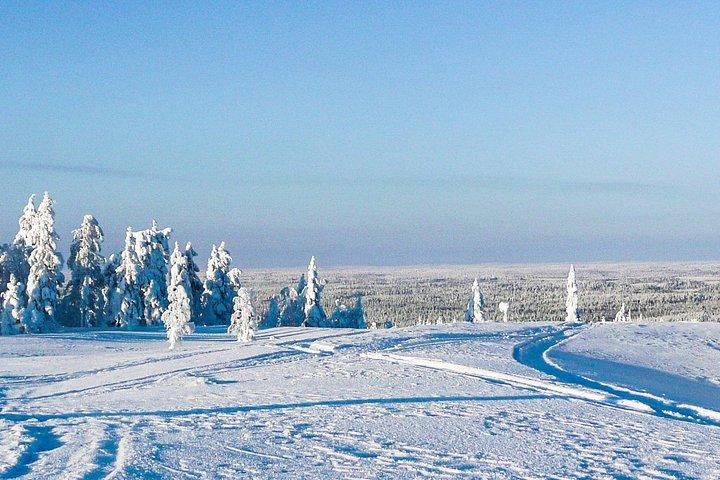 Læs mere om Tundra - Saariselkä