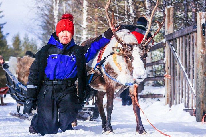 スノーモービルサファリからトナカイとハスキーの農場へ - ロヴァニエミ