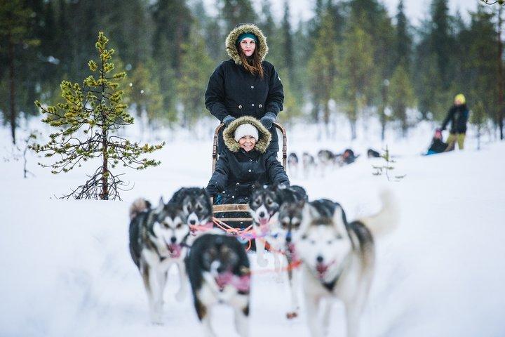 Safari en motoneige à Reindeer and Husky Farms - Rovaniemi