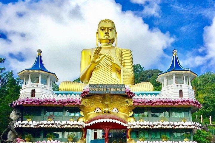 シギリヤ ロックとダンブッラ石窟寺院の日帰りツアー