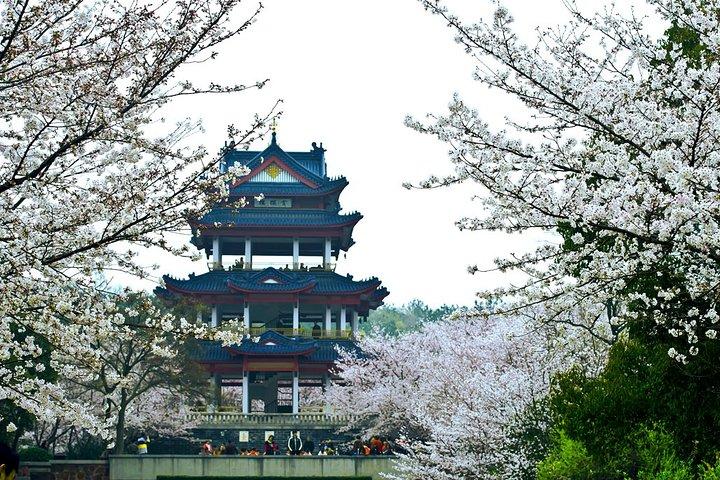 Wuxi Lingshan Buddhist Scenic Spot und Tai Lake Private Tour