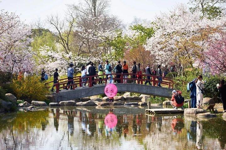 Wuxi Lingshan Buddhist Scenic Spot und Tai Lake Private Tour