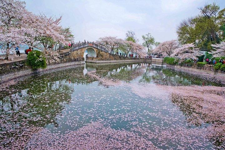 Wuxi Lingshan Buddhist Scenic Spot und Tai Lake Private Tour