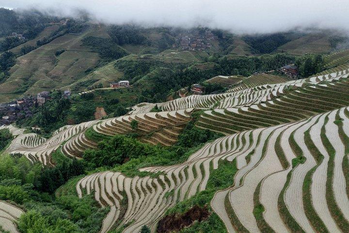 5-tägige China Private Tour von Shanghai nach Guilin mit Flug
