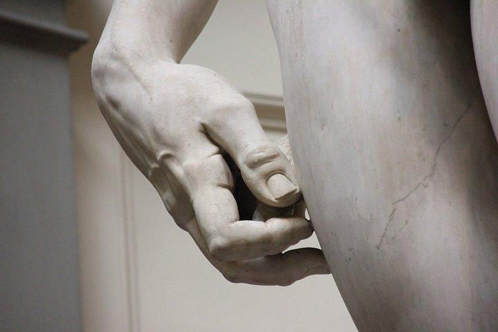 Florence: 1-hour Accademia Gallery guided experience with entrance tickets