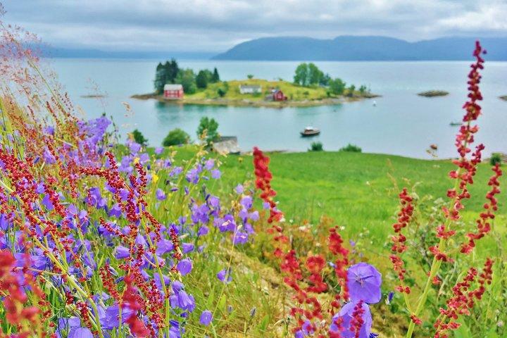 Viagem de ida e volta de 2 dias saindo de Bergen: THE GRAND HARDANGER - fiordes, cachoeiras, geleiras