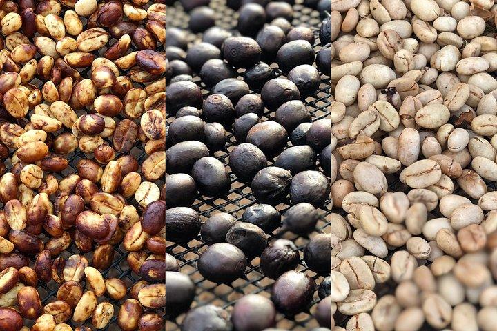 Kaffeefarm und Salento Wanderung