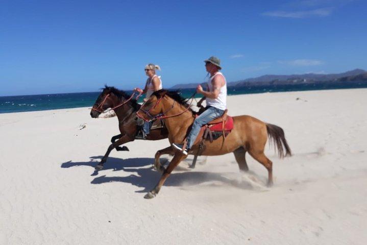 1,5 Stunden private Reittour in Playa Conchal