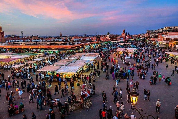 Day Trips from Agadir to Marrakech with Amazing guide