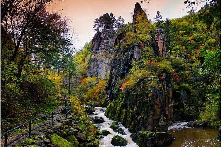 Tour privato di 3 giorni della città di Yichun con visita ai parchi forestali da Harbin