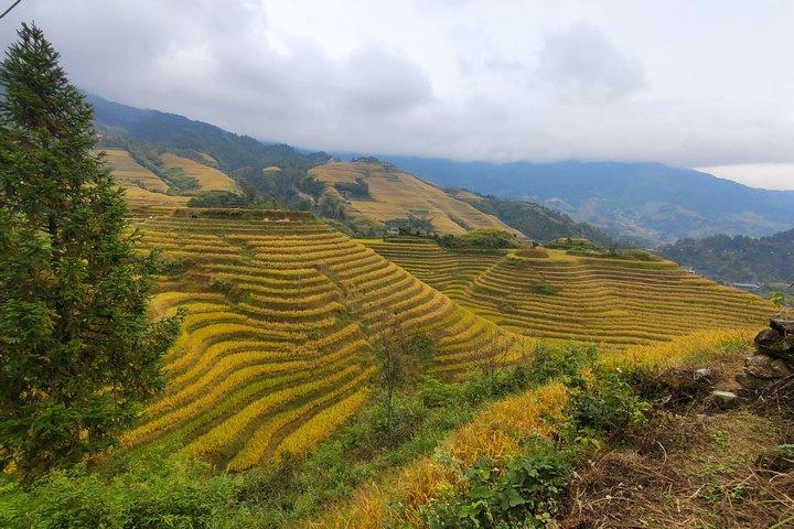 7-daagse China privétour met Shanghai Zhangjiajie en Guilin