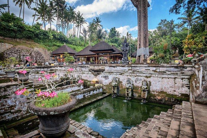 Bedste af Bali: Bali templer, ris terrasse og vandfald tur