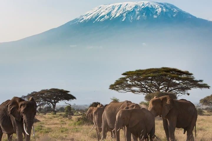Private Transfer from Jomo Kenyatta Airport (NBO) to Nairobi