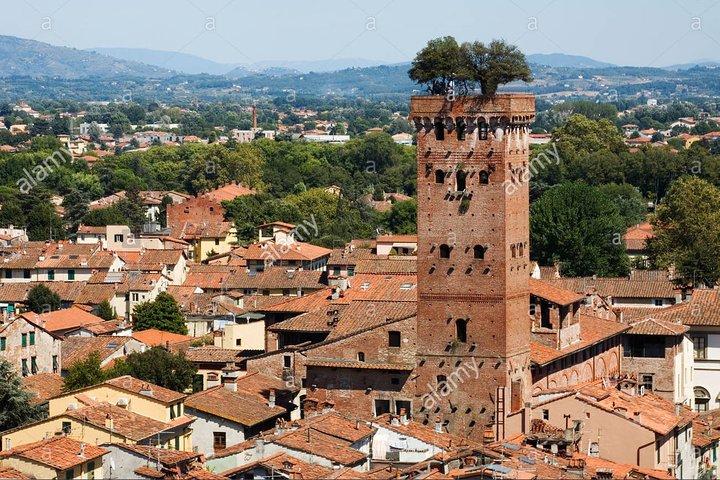 TRANSFER PRIVADO: de Cinque Terre a Florença com paradas em Lucca e Pisa