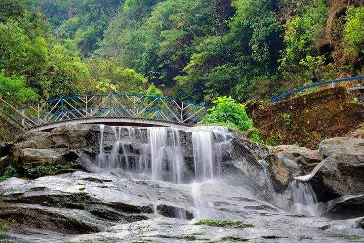 Day_Trippers (Darjeeling Heldagstur).