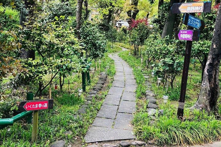 大阪での2時間のプライベートガイド付きウォーキングツアー