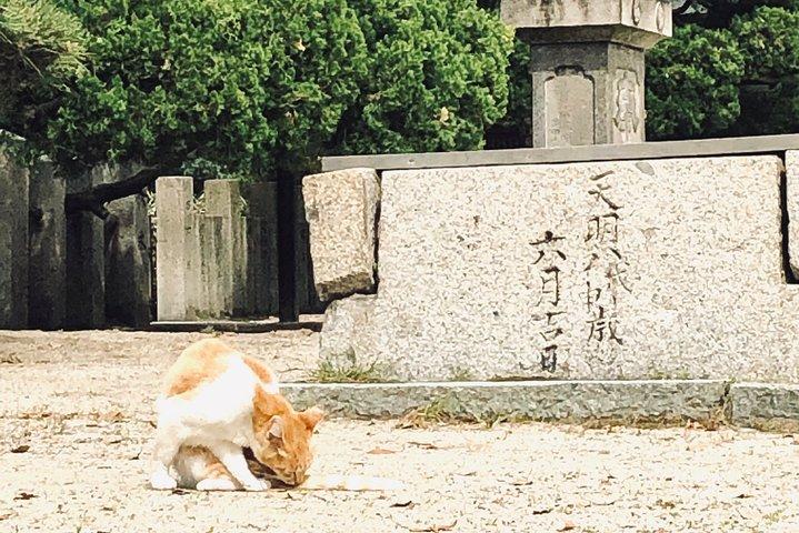 大阪での2時間のプライベートガイド付きウォーキングツアー
