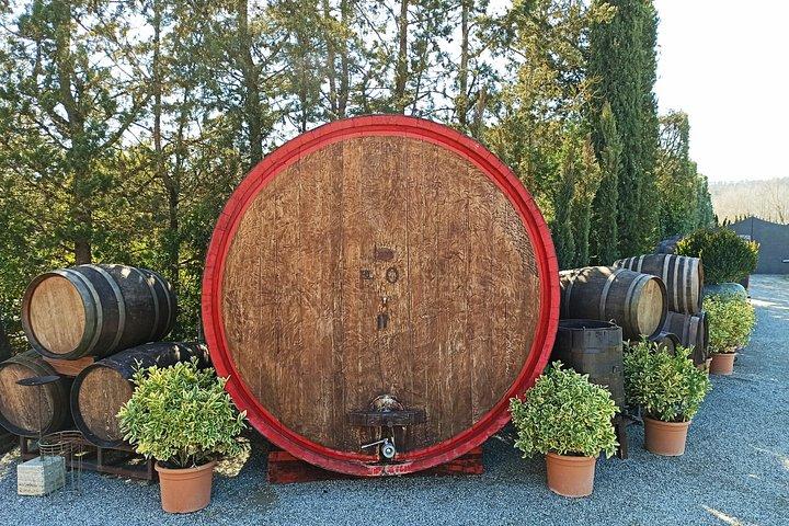 キャンティでのワインツアーと小グループ向けのサンジミニャーノの訪問