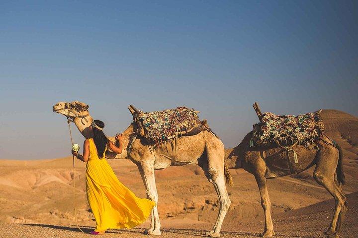 Marrakech: High Atlas e Agafay Desert Day Tour