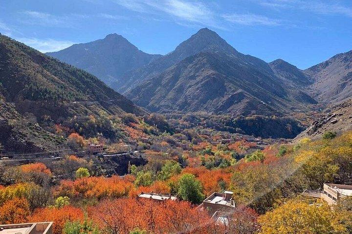 マラケシュ: アトラス山脈&フォーバレーズツアー