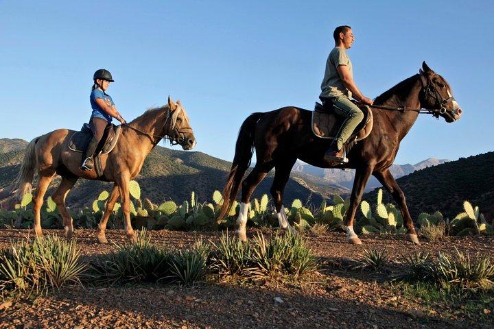 Atlasbergen Ridning Dagstur från Marrakech
