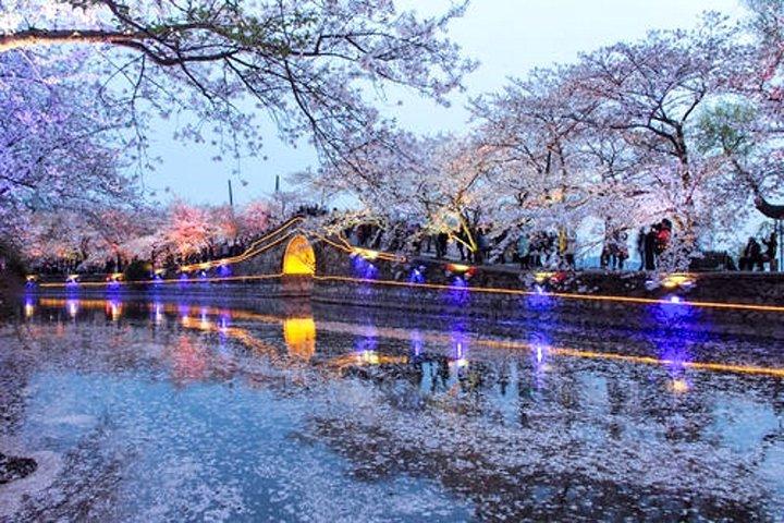 蘇州発無錫霊山仏プライベート 1 日ツアー