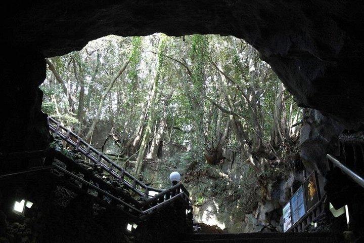Full Day Customizable Jeju Private Tour with licensed tour guide