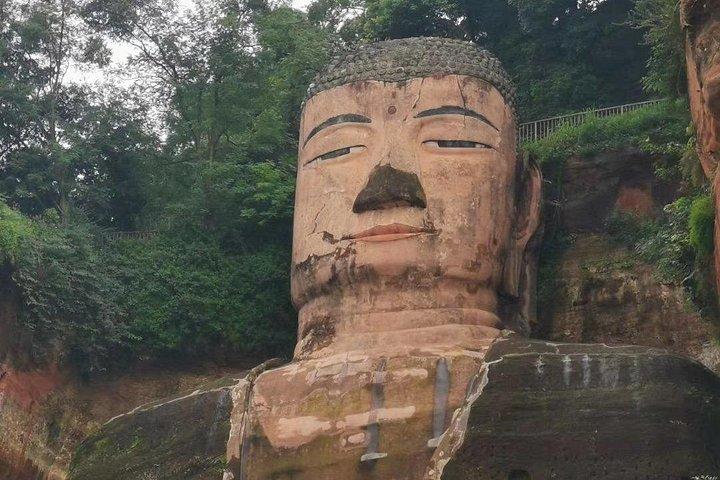 成都からパンダ基地と楽山大仏へのプライベート終日ツアー