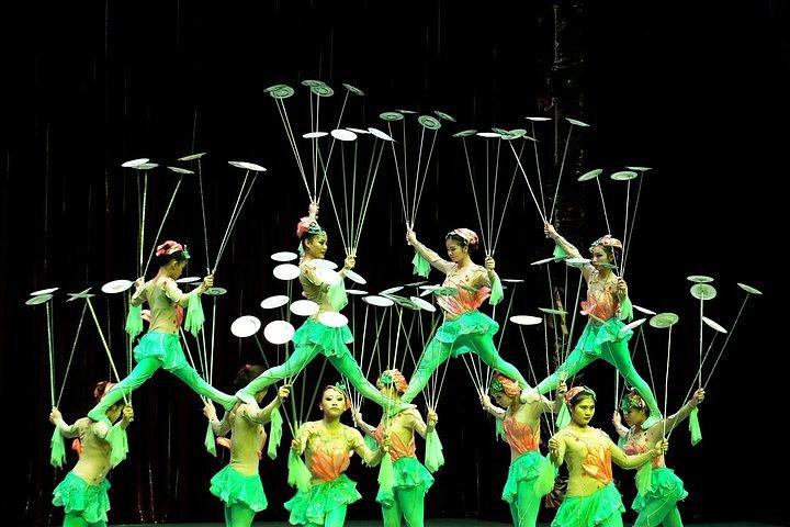 Tour privato: China Acrobatics Show e Shanghai Evening Tour