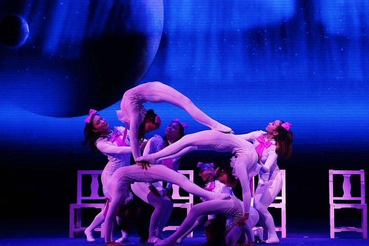 Tour privato: China Acrobatics Show e Shanghai Evening Tour