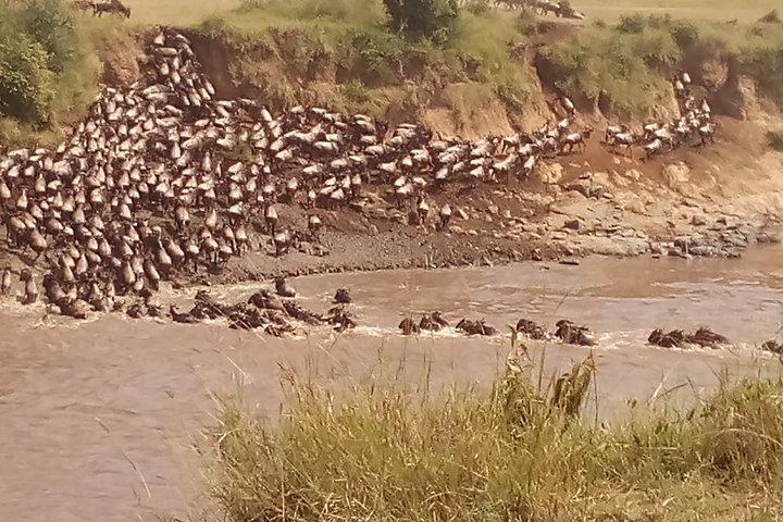 Safari de 6 jours à Maasai Mara N / R, lac Nakuru N / P, Hells Gate N / P Lake Naivasha.