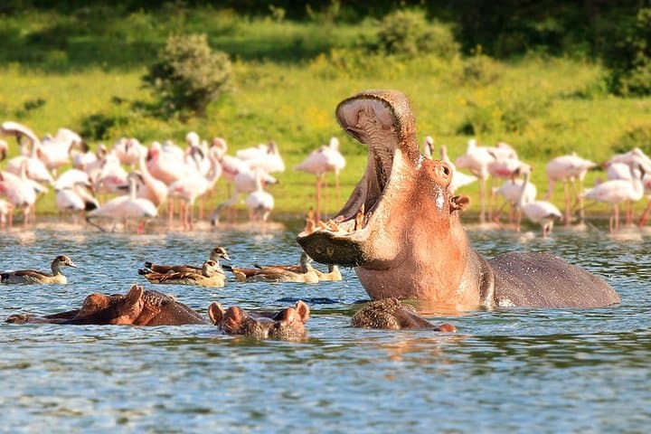 2-Day Guided Safari Tour of Hell's Gate Park and Lake Naivasha